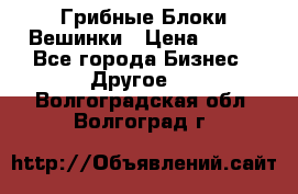 Грибные Блоки Вешинки › Цена ­ 100 - Все города Бизнес » Другое   . Волгоградская обл.,Волгоград г.